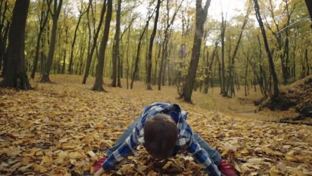 秋のキャノピーの下 魅惑的なウッドランドワンダーランドで遊び心のあるアドベンチャー 高品質の4K映像 — ストック動画