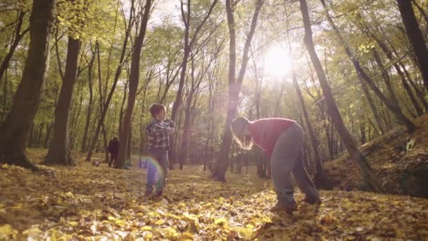 Tapestry Love Mother Son Create Memories Amidst Golden Leaves Autumn — Stok Video