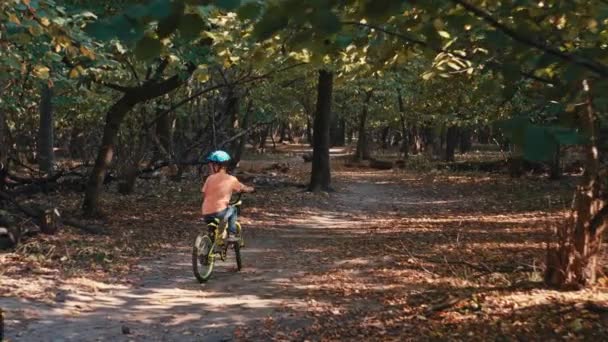 保護措置 安全ヘルメットの笑顔少年が自転車で公園を探検する 高品質の4K映像 — ストック動画