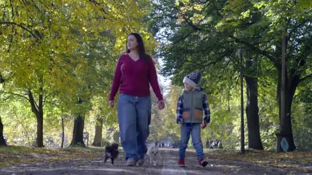 Мать Сын Гуляют Собаками Осеннем Парке Семейный Уход Любовь Домашним — стоковое видео
