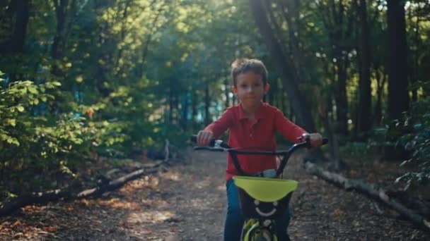 幸せな子供時代へのギムプス 魅力的な森でグリーと一緒に自転車に乗る少年 高品質の4K映像 — ストック動画