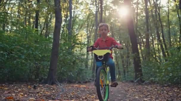 Хлопчик Їде Велосипеді Лісі Дитина Їде Велосипеді Щасливо Проводить Своє — стокове відео