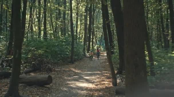 調和のとれた家族の絆 自転車で自然の美しさを発見する 高品質の4K映像 — ストック動画