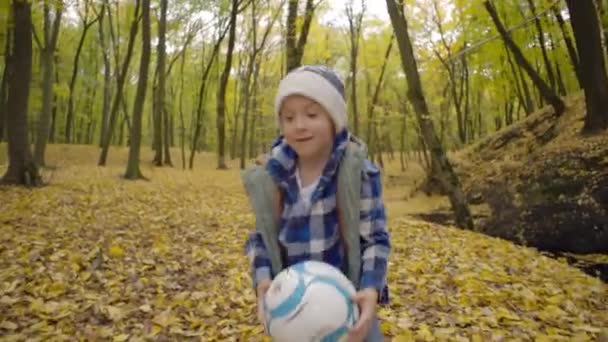 一个孩子正在秋天的公园里玩乐 在黄叶上踢足球 快乐男孩的生活方式在大自然中快乐 高质量的4K镜头 — 图库视频影像
