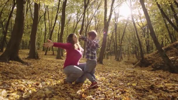 Canopy Fall Mother Sons Playful Leaf Tossing Adventure Enchanting Park — Vídeo de stock