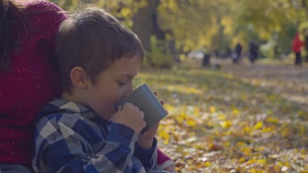 Feliz Madre Hijo Bebiendo Parque Otoño Una Bebida Caliente Clima — Vídeos de Stock