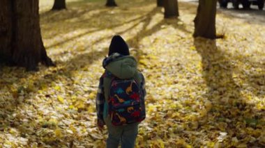 Sonbahar okulda ders çalışma zamanıdır, sırt çantalı bir çocuk okula sarı bir yaprak üzerinde gider. Çocuk öğrenmek ve yeni bilgi edinmek için acele ederek sınıfa gidiyor. Yüksek kalite 4k görüntü