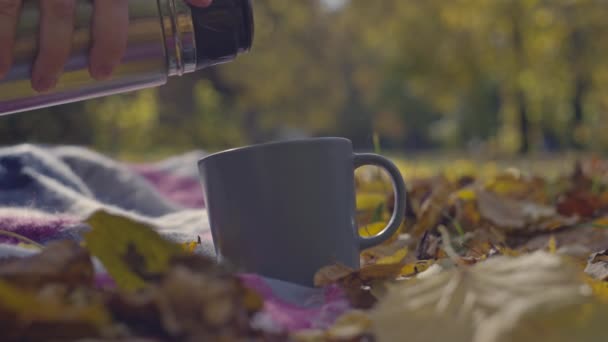 公園の黄色い葉の上に立っているカップに熱湯からお茶を注ぐクローズアップ 自然の中の秋の森のピクニック 高品質の4K映像 — ストック動画