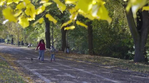 Rodzina Spaceruje Psem Przez Żółte Liście Jesiennym Parku Miłość Opieka — Wideo stockowe