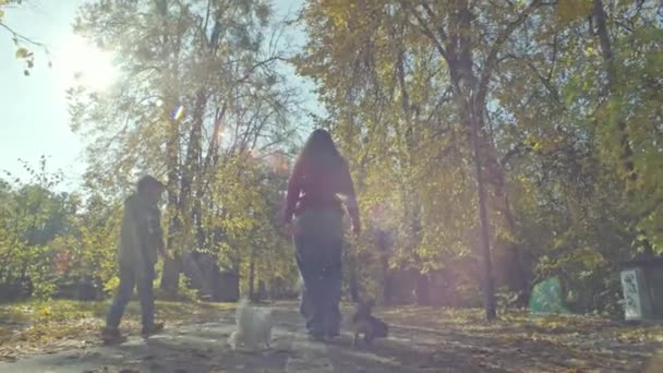 Anya Fia Együtt Sétálnak Kutyákkal Őszi Erdőben Állatok Sárga Leveleken — Stock videók