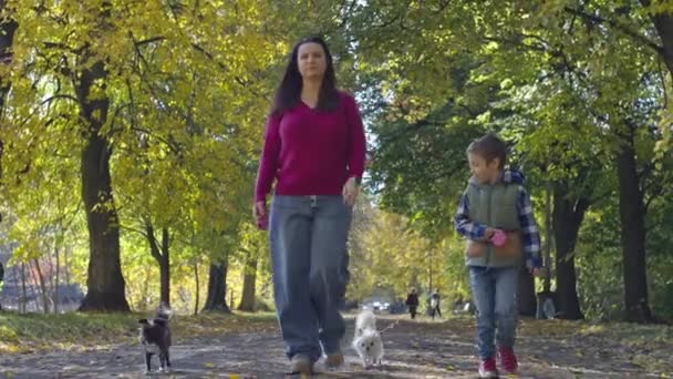 Autumnal Delight Heartwarming Family Adventure Dogs Laughter Golden Leaves High — Stock Video