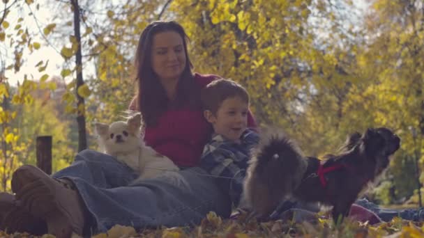 Autumn Tranquility Blissful Picnic Adventure Mom Son Adorable Canine Companions — Vídeo de Stock