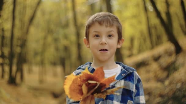 Portret Dziecka Zasłaniającego Twarz Żółtymi Liśćmi Jesiennym Parku Wesoły Uśmiechnięty — Wideo stockowe