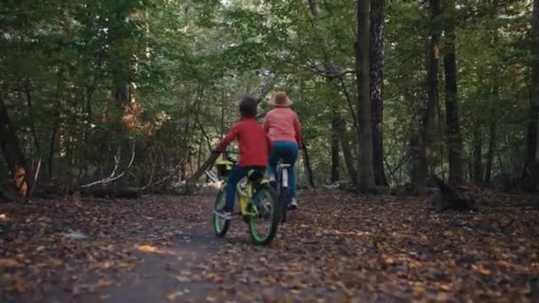 自然の遊び場 公園内のサイクリングアドベンチャーを通じて家族の絆 高品質の4K映像 — ストック動画