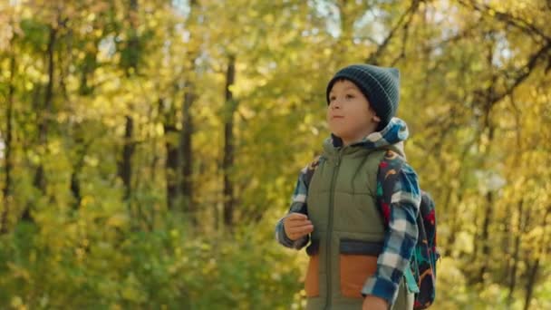 バックパックを持った白人少年が秋に黄色い葉を歩いて学校に通う 子供は急いで勉強して授業に行きます 高品質の4K映像 — ストック動画