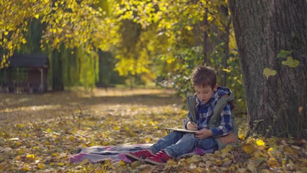 Autumn Academic Adventures Happy Schoolboy Tackles Homework Writing His Notebook — Stock Video