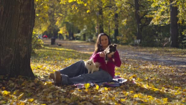 Pet Happiness Woman Dog Playtime Autumn Leaves Love Animals Concept — Vídeo de Stock
