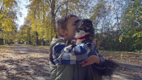 Портрет Мальчика Обнимающего Собаку Прогулке Осеннем Парке Любовь Домашним Животным — стоковое видео
