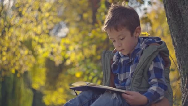Chłopak Odrabia Lekcje Siedząc Żółtym Liściu Parku Jesienią Szkole Dziecko — Wideo stockowe
