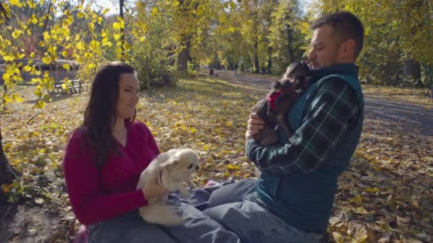 カップルは 秋の公園で黄色い葉で犬と遊んでいる ペットのケアと愛は 散歩中の笑顔と笑顔です 高品質の4K映像 — ストック動画