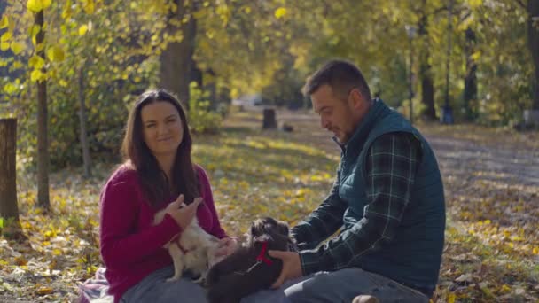 秋のピクニックの家族は 黄色い葉の上に犬と遊びます 動物に対する人間の愛 人生の幸せな瞬間 ライフスタイル 高品質の4K映像 — ストック動画