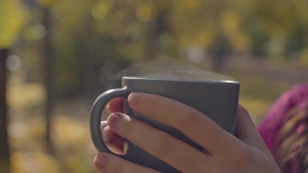 Seasonal Bliss Romantic Tea Time Woman Bed Autumn Leaves Inglês — Vídeo de Stock