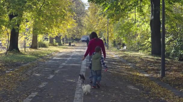 Madre Hijo Están Paseando Parque Con Perro Cuidado Las Mascotas — Vídeo de stock