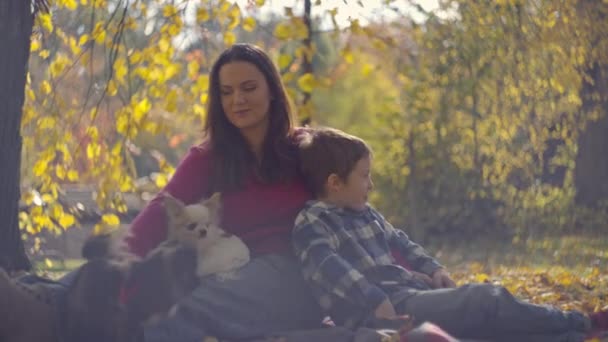 ゴールデンマザー そして秋の公園で大切な思い出を作る犬たち 高品質の4K映像 — ストック動画