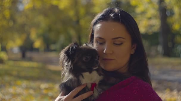 彼女の腕に犬を抱いて抱きしめる女性の肖像画 動物のための人間のケアと愛 ペットの世話 彼らの世話 高品質の4K映像 — ストック動画