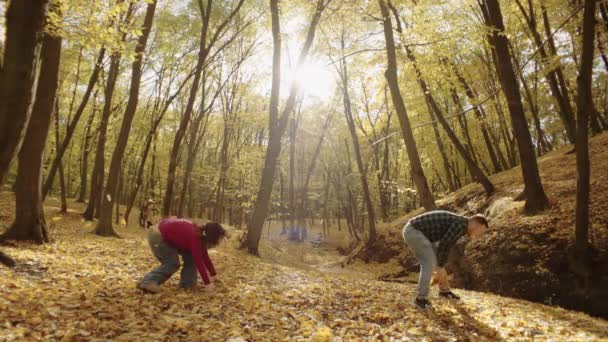 Omhelzing Van Herfst Een Stralend Paar Gedoucht Gouden Bladeren Koesteren — Stockvideo