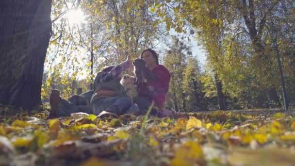 Трогательный Осенний Пикник Мама Сын Собаки Наслаждаются Временем Жёлтых Листьях — стоковое видео