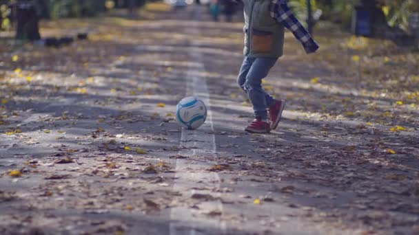 这个男孩在秋天公园的黄叶上踢足球 孩子踢着球 玩得很开心 积极地玩耍和休息 高质量的4K镜头 — 图库视频影像