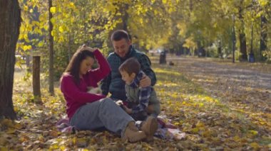 Mutlu aile sonbahar ormanında köpeklerle piknik yapıyor. Çocuk ve ebeveynler parkta evcil hayvanlarla oynar, gülümser ve birlikte sevinirler. Yüksek kalite 4k görüntü