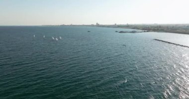 Windsurfing Euphoria: Active Beach Leisure ve Oceanic Celebration. Yüksek kalite 4k görüntü