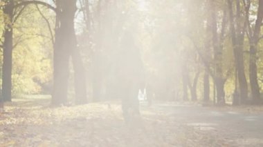Bir çocuk, bir oğlan, sonbahar parkında yürüyor, ayaklarıyla sarı yaprakları topluyor. Mutlu anlar yaşam tarzı gülümsemeleri. Yüksek kalite 4k görüntü