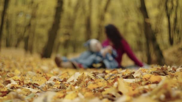 Мать Сын Сидят Толстых Листьях Пикнике Осеннем Парке Счастливая Семья — стоковое видео