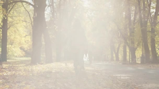 Ребенок Мальчик Прогуливается Осеннему Парку Собирая Желтые Листья Ногами Счастливые — стоковое видео