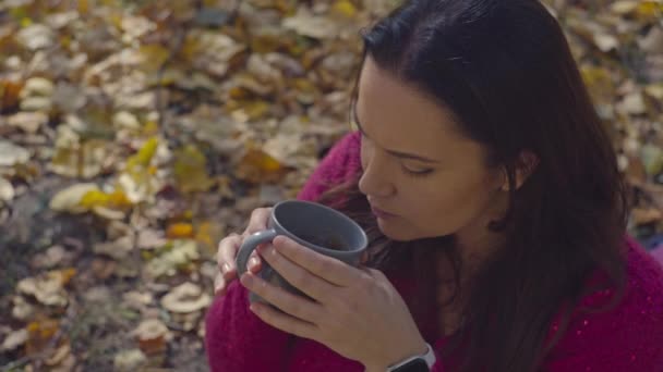 秋のセレニティ 公園のゴールデンリーフで紅茶を飲むロマンチックな女性 高品質の4K映像 — ストック動画