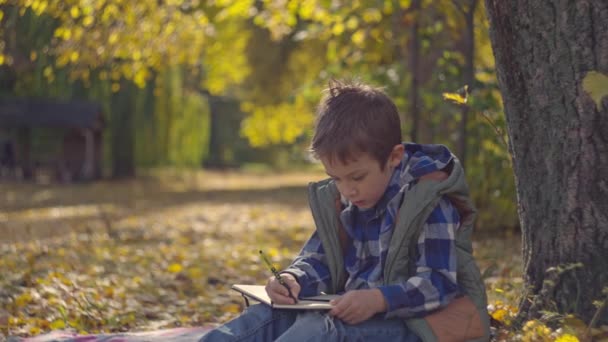 感動的な秋の研究 笑顔の学校のボーイは秋の公園の黄色い葉の宿題を完了します 高品質の4K映像 — ストック動画