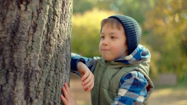 Chłopak Głaszcze Przytula Drzewo Lesie Koncepcja Miłości Przyrody Dzieci Chronią — Wideo stockowe