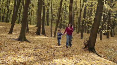 Mutlu Anne ve Oğlu Parktaki Altın Sonbahar Yaprakları Yığını 'nda Koşan Neşeli Bir Anın keyfini çıkarıyorlar. Yüksek kalite 4k görüntü