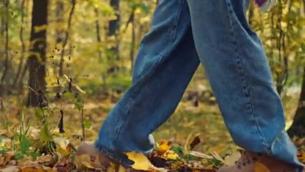 Zbliżenie Żeńskich Nóg Żółtych Liściach Jesienią Spacerując Parku Sezonie Jesiennym — Wideo stockowe
