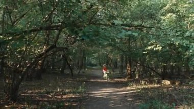 Saf Saf Mutluluğun Özünü Yakalamak: Neşeli Çocuk Büyülü Ormanda Zevkle Bisiklete Kucaklıyor. Yüksek kalite 4k görüntü