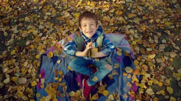 Осенняя Радость Волшебные Мгновения Счастья Мальчик Сидит Жёлтом Листе Окружённый — стоковое видео