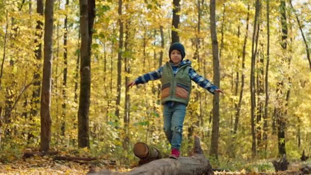 Мальчик Ходит Дереву Осеннем Лесу Любовь Природы Осенью Желтые Листья — стоковое видео