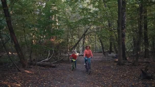 Anne Oğlu Parkta Bisiklet Sürüyorlar Aile Birlikte Zaman Geçirir Bisiklet — Stok video