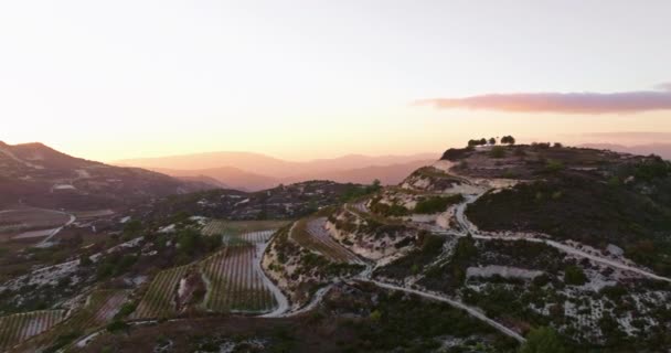 Sunrise Symphony Aerial Drone Views Grapevines Mountainous Vineyard Imagens Alta — Vídeo de Stock