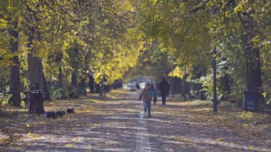 Yakışıklı bir çocuk sonbahar parkında bir topla oynuyor. Bir çocuk sarı bir çarşafta topa vurur, futbol oynar ve eğlenir. Yüksek kalite 4k görüntü