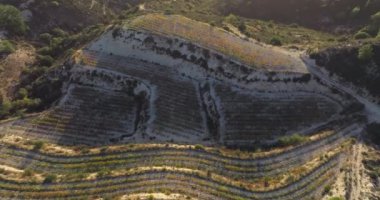 Tepeden Gelen Fısıltılar: Göksel Bir Dans Havadan Yakalandı, Yükselen Topraklar boyunca uzanan Üzümlerin Sonsuz Güzelliğini Açığa Çıkardı. Yüksek kalite 4k görüntü