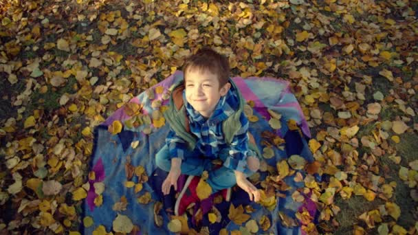 Uchwytywanie Szczęścia Portret Szczęśliwego Chłopca Siedzącego Żółtym Liściu Zanurzonego Magii — Wideo stockowe